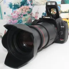 Item thumbnail for item f3b086c4-0eb2-4d53-8c9a-7829f866e70e