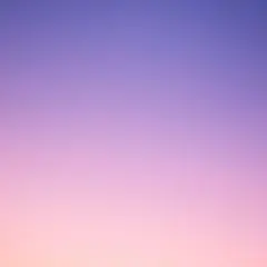 確認用