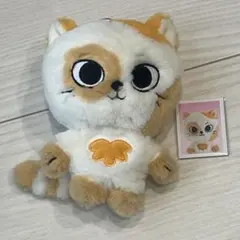 BOYNEXTDOOR プネクド ぬいぐるみ キーリング ソンホ ケッピ