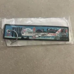 【新品/未使用】JALノベルティ フライトタグキーホルダー 福岡 FUK