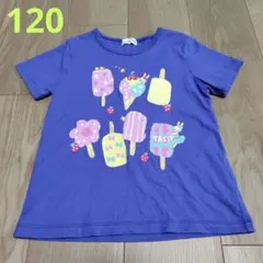 ①KP　ニットプランナー　mimiちゃん　アイスTシャツ 120