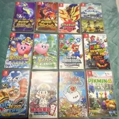 Nintendo Switch ケースのみ