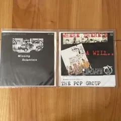 ROUGH TRADE 2枚セット pop group slits 日本盤