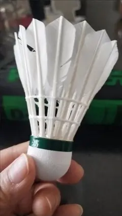 Item thumbnail for item b9ffe25e-087f-4d8f-90a7-85f8f56df7c4