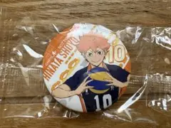 ハイキュー!! 日向翔陽 缶バッジ 10番
