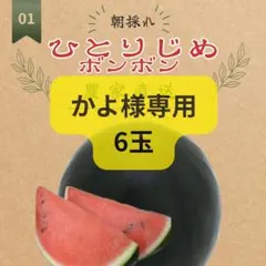 ⑧ 【かよ様専用・ご本人以外購入ご遠慮ください】ひとりじめボンボン6
