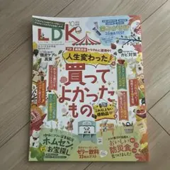 LDK 2025 10月号　買ってよかったもの