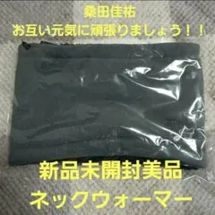 新品未開封美品★桑田佳祐 ネックウォーマー★送料込みのサムネイル