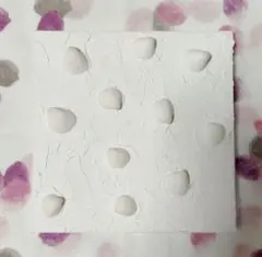 Item thumbnail for item c0d17ca6-1b5c-43cc-98d1-a6389da35c1a