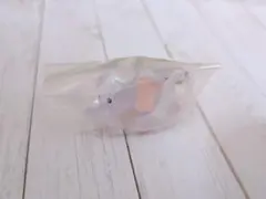 Suzy’s Zoo めじるしアクセサリー2 ②