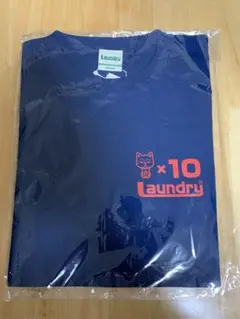 Item thumbnail for item 3fdccf07-ac92-4b82-94c1-1701b2ffdd3c