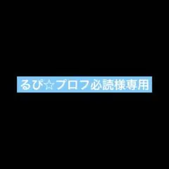 2026年最新】プロフ必読様専用の人気アイテム - メルカリ