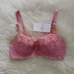 トリンプ　レッドレーベル　TR0109　019 C70 定価8800円