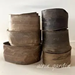 北海道産 胡桃 くるみ 樹皮 6巻 A②