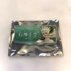 千空　ネームバッジ Dr.STONE