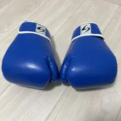 ボクシンググローブ10