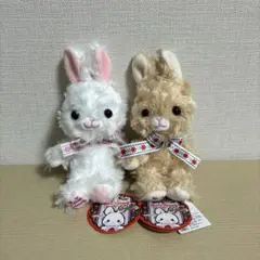 ロージーバニー　ロージー　ロビー　2種まとめ売り