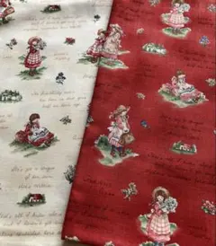 アン・オブ・グリーンゲイブルズ コットン生地 2枚セット