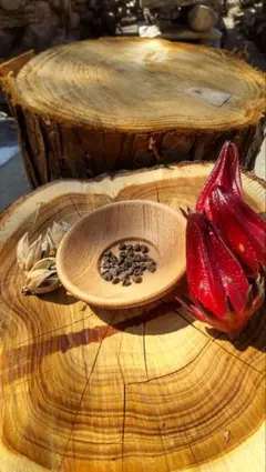 ハイビスカスローゼル　種　100粒　ハーブ園さくらい