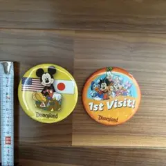 缶バッチDisneyland in CALIFORNIA