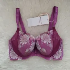 トリンプ　レッドレーベル　天使のブラ　0102　定価9130円 020 E75