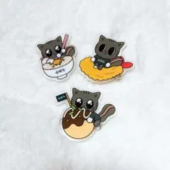 TXT テヒョン ダゴニャン プルバトゥ ご当地 アクリルバッジ