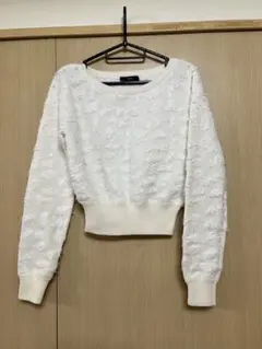 Item thumbnail for item a12a3606-77e1-4b51-91a5-c4ec09bd3b62