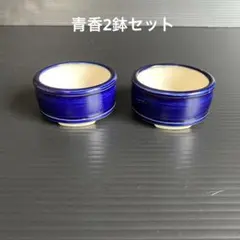 青香2鉢　ミニ盆栽のサムネイル