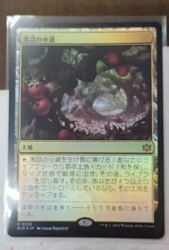 MTG マジックザギャザリング Secret Lairなど まとめ売り 楽天市場】マジック:ザ・ギャザリング secret lair junjiの通販