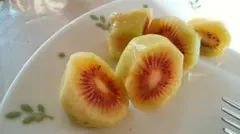 トロピカル全開の紅芯キウイ★レインボーキウイ剪定枝10本（挿木・接木の穂木）