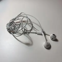 Apple アップル iPhone 純正 イヤホン ライトニング