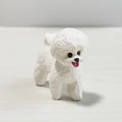 ミニチュアプラネット　動物　犬　フィギュア　置物　ビジョンフリーゼ EIKOH