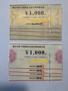 ビックカメラ+コジマ 株主優待券 8000円分