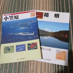 Item thumbnail for item bab74979-d516-4c6d-b47a-08c9d951e166