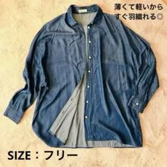 サイズフリー♪長袖シャツ　ドルマンスリーブ　体型カバー　薄くて軽い　匿名　送料込