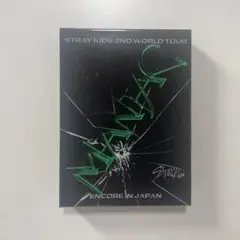 Stray Kids/2nd WorldTour