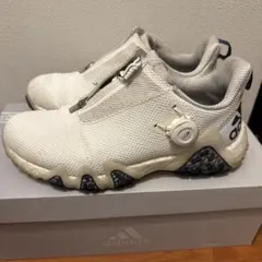 みっちゃん専用）ecco BIOM C4 BOA GORE-TEX ×2 - メルカリ