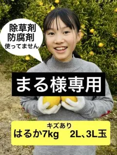 まる様専用　2L3L玉 7kgキズあり166