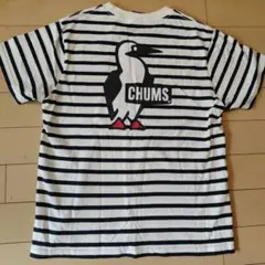 チャムス 背面ブービーバードプリントボーダーTシャツSサイズのサムネイル