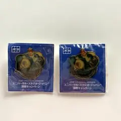 ☆新品・未使用☆ USJグッズ9周年記念ピンバッチ　2点セット　非売品