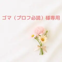 ゴマ（プロフ必読）様 4点 クリーム、カフェグラスSS、ミニバラ、チョコ＆BOX