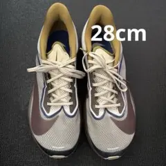 Nike zoom fly6 プレミアム 28cm