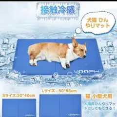 Item thumbnail for item 4d39ea71-46d3-48d7-9ecc-d73f04efbe59