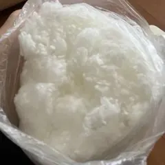 Item thumbnail for item 774665c4-c61a-4c83-877f-04ab26180ffd