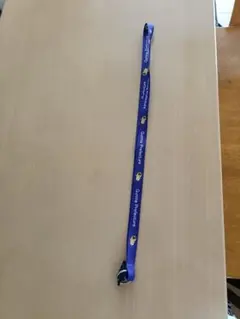 Ｓｈｉｏｎ♪Ｋａｎｏｎ♪Ｕｔａ♪様 リクエスト 2点 まとめ商品