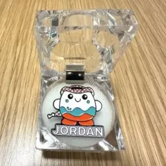 万博 EXPO2025 ヨルダン館 ピンバッジ シファー ヨルダンパビリオン
