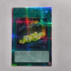 25thシークレット　25thシク　31枚まとめ売り 25thシークレット 25thシク 31枚まとめ売り