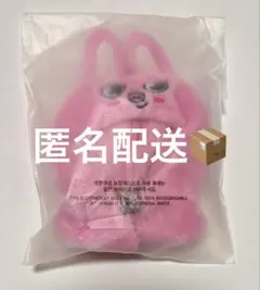 2025年最新】SKZOO ぬいぐるみ チャンビンの人気アイテム - メルカリ