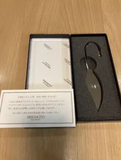 Item thumbnail for item 6bf3c46e-435a-4d8b-8844-b2f119c6cabb