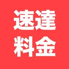 速達料金 専用